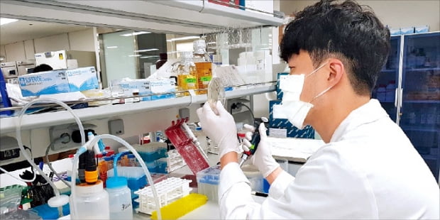 메드팩토 연구원이 서울 서초동 연구소에서 신약 후보물질 실험을 하고 있다.  메드팩토  제공