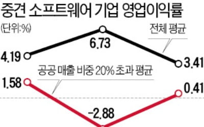 공공SW '대기업 참여제한' 8년…공공 서비스 부작용만 쌓였다