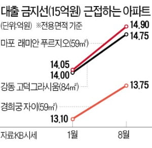 불과 8개월 만에…강동·마용성 아파트 '대출금지' 15억 육박