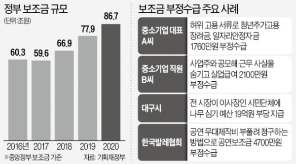 [단독] 정부 보조금 부정수급…文정부 들어 3배 급증