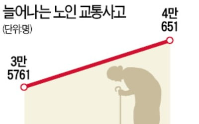 '노인 보호구역' 말뿐…단속카메라 고작 2%