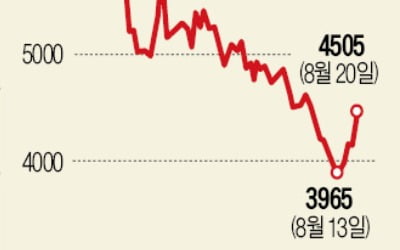 '곱버스 베팅' 30대 왕개미들, 급락장서 웃었다