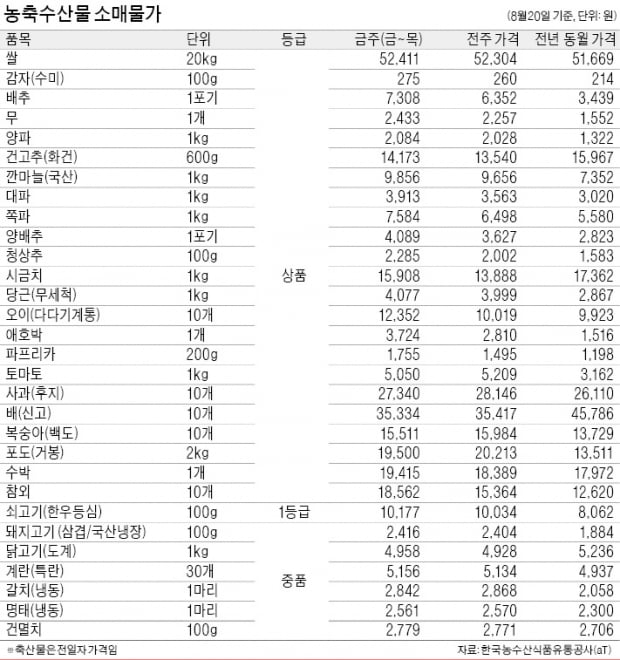 배추 1포기 7308원, 폭염 탓…1주새 15%↑