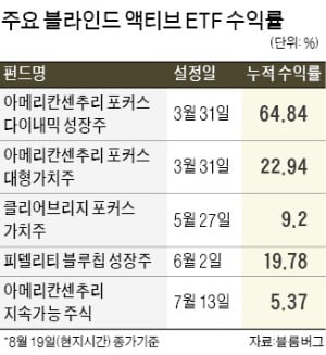 편입 종목 공개 안 하는게 낫다?…'깜깜이 ETF'가 수익률 더 높네!