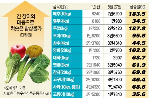 장마·태풍에 무·배추값 3배↑…“열무김치 판매 중단”