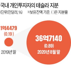 '한국 개미'공격 ... 테슬라 10 대 주주