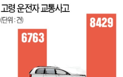 어르신 운전 사고 폭염 때 절정