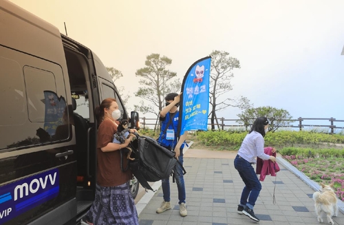 [여기 어때] 댕댕아 떠나자…'멍 포레스트 인 평창'