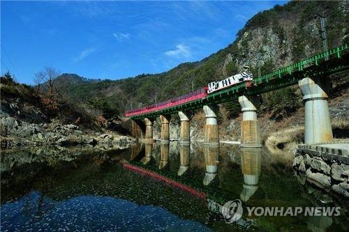 관광전용 열차 타고 휴가 떠나세요…8월 중 35% 할인 행사