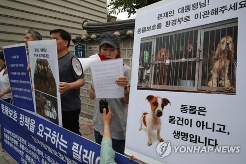 내가 잃은 건 가족인데… 반려동물의 법적 지위는 물건 | 한국경제 내가 잃은 건 가족인데… 반려동물의 법적 지위는 물건 | 한국경제