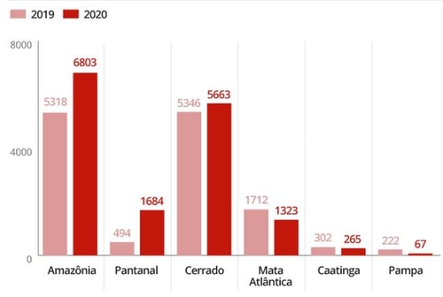 세계 최대 열대늪지 브라질 '판타나우' 화재 기록적 증가세