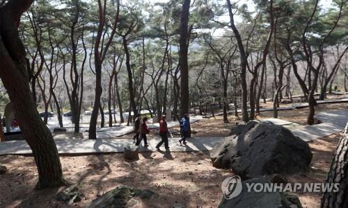 '미세먼지 줄인다'…전주 전북혁신도시에 100억 들여 '숲 조성'