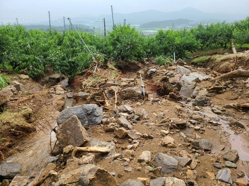 [르포] "500㎜ 더 쏟아지면 불탄 민둥산 무너질까 겁나"