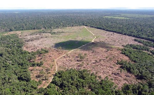 아마존 원주민 코로나19·토지강탈로 대규모 인명피해 우려