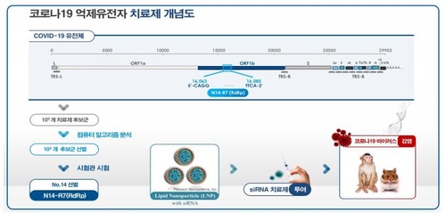 국방과학연구소가 코로나19 치료제 연구까지…"동물실험 성공"