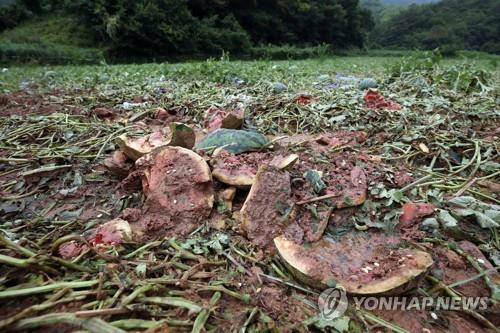 충북농협, 수해 농민 최대 1억원 대출…금리 우대