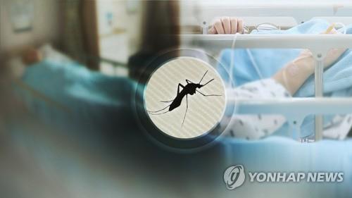 청주서 올해 첫 일본뇌염 모기 발견…작년보다 6일 늦어