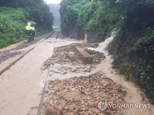 '물 폭탄'에 광주천 범람 위기…도로는 잠기고·열차는 끊기고