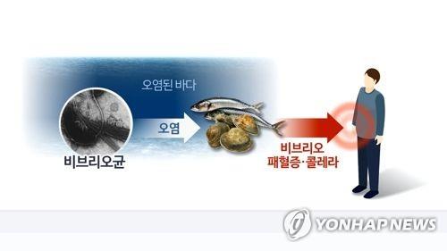 서천서 비브리오패혈증 환자 발생…올해 충남 두 번째