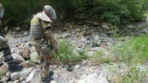 군, 철원·화천서 유실된 지뢰 3발 수거…"침수지역 탐색 지속"