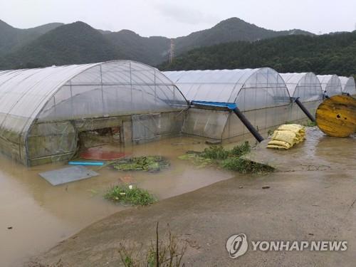 폭우 없었는데 물난리…영동·옥천주민 용담댐 방류에 '분통'