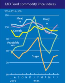 집중호우로 유지류 가격 강세…세계식량가격지수 소폭 상승