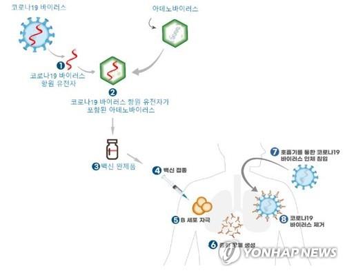 [팩트체크] 새로운 코로나 변이, 진단·백신개발에 영향?