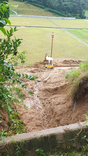 폭우로 거목 쓰러져…광주 시립묘지 묘 120여기 훼손