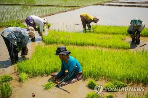 인도네시아 농민 170명, 조코위 만나려 1천812㎞ 걸어