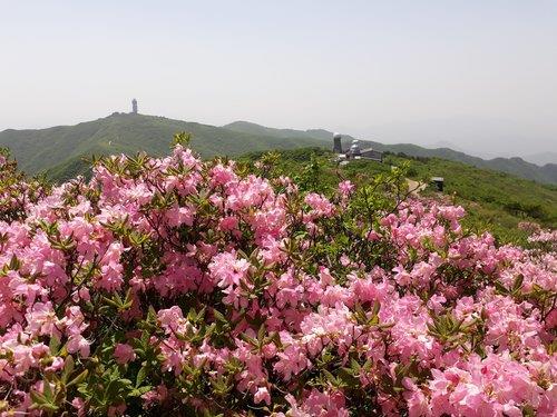 '국립공원 면적 1.5% 늘린다'…환경부, 계획안 놓고 의견수렴