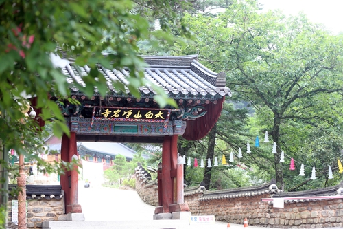 여름 빨리 가는 정선 만항재…시원한 가을바람 솔솔