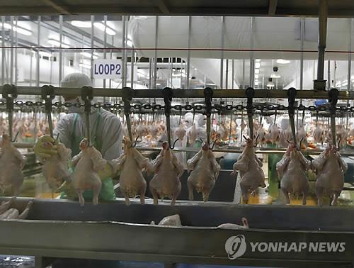 "브라질산 냉동 닭날개에 코로나19 바이러스"…중국 선전시 발표