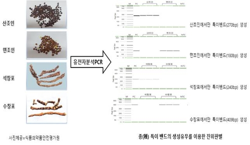 맨눈으로 구별 어려운 식품원료, 유전자 분석으로 판별