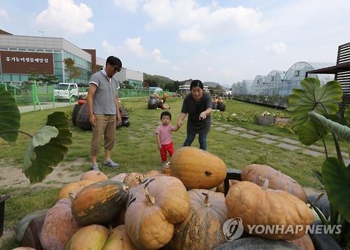 충북도, 괴산유기농엑스포 국제행사 승인 준비 박차