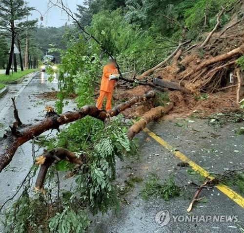 산사태 덮친 제천 의림지 진입도로…"4차로 확장해야"