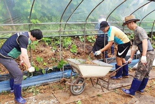 수도권 코로나19 재확산에 충주 수해 자원봉사자 '반토막'