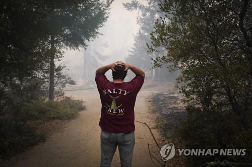 번지는 미 캘리포니아 대형 산불…서울 면적 2배 넘게 태워