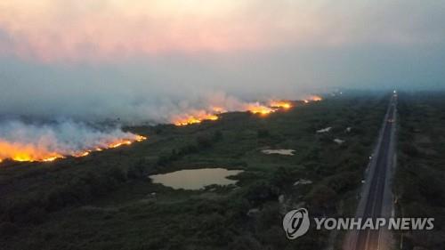 세계적 열대늪지 불타는데…브라질대통령 "너무 넓어 단속 난망"