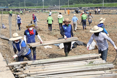 금산군 용담댐 방류 피해 응급복구…자원봉사자 6천여명 참여