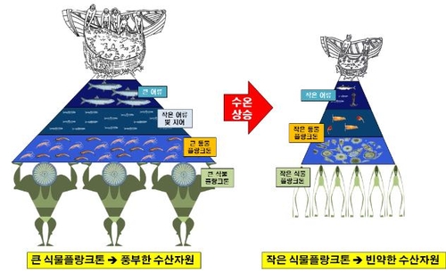 동해 오징어 왜 서·남해로 갔나?…수온 상승으로 먹이사슬 변화