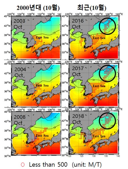 동해 오징어 왜 서·남해로 갔나?…수온 상승으로 먹이사슬 변화