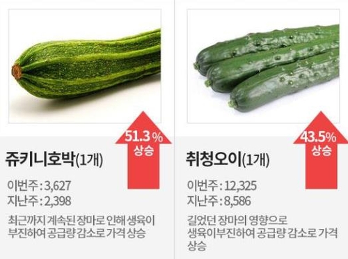 긴 장마로 '비싼 몸' 주키니호박·오이…한주 새 가격 40∼50%↑