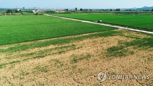 전주시, 농민 공익수당 60만원씩 9월에 지급