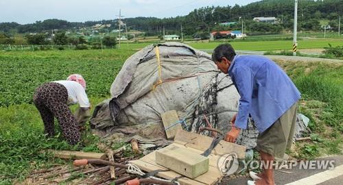 환경부, 태풍 '바비' 긴급점검회의…전국 댐 저수량 조절