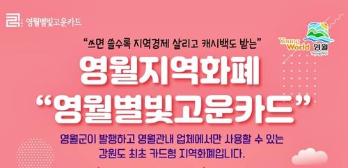 영월군 주민 2명 중 1명 카드형 지역화폐 사용