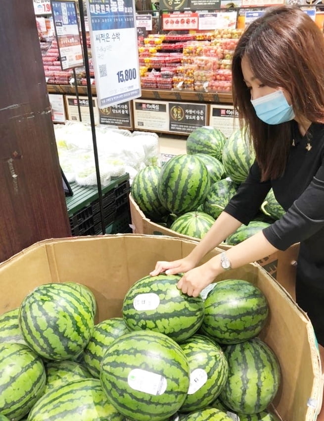 롯데마트, `CA저장기술` 활용한 과일 선봬…"장마에도 달아요"