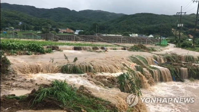 닷새간 집중호우에 한탄강 범람 위기…주민 대피령