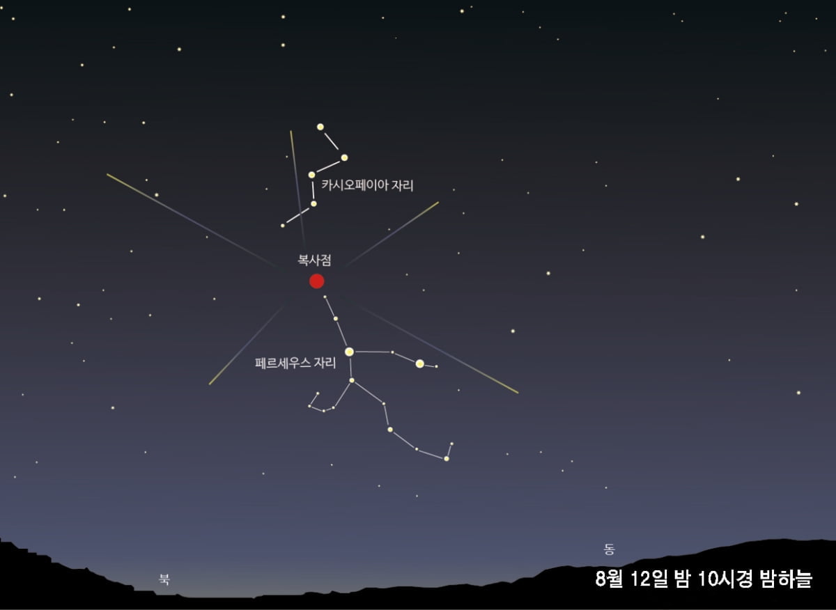 "12일 밤부터 하늘에서 `별똥별 소나기` 떨어진다"