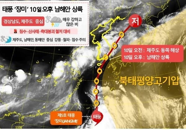 5호 태풍 장미, 내일 남해안 상륙…최대 500㎜ 폭우