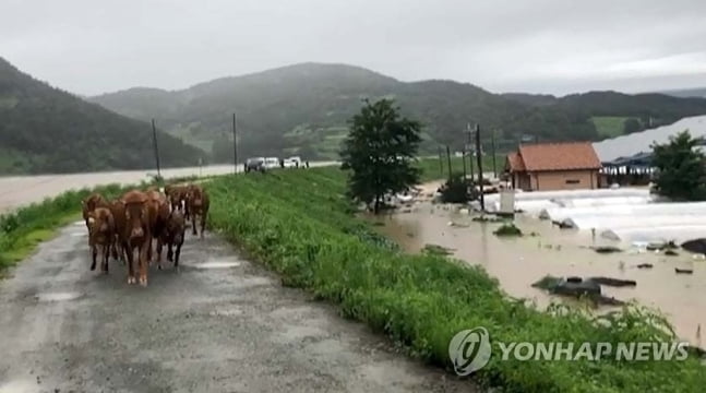 열흘째 물폭탄 사망·실종 42명, 이재민 7천명